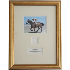 Ciocche di capelli del cavallo da corsa Red Rum con certificato di autenticità