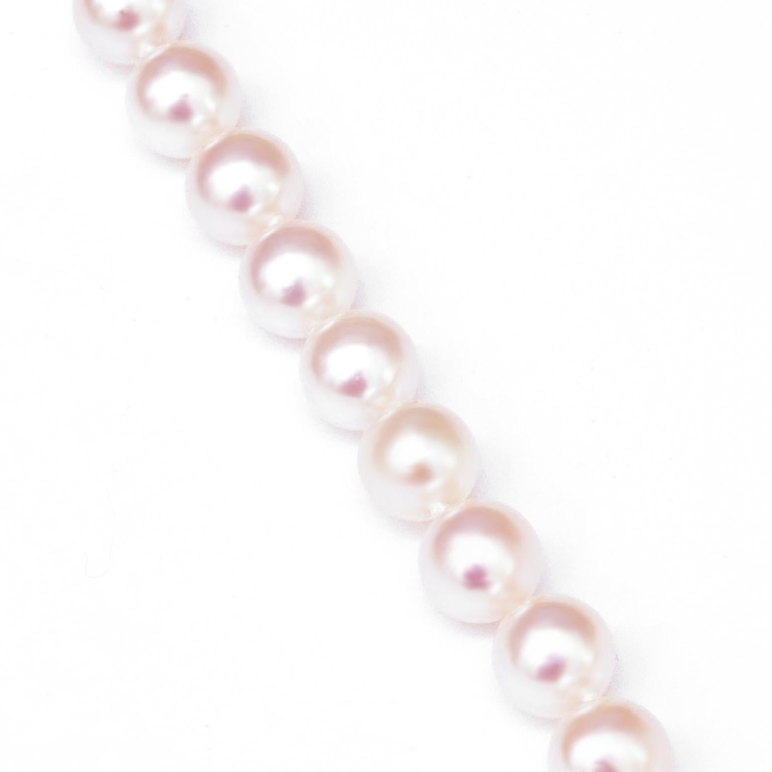 Strand of Superb Akoya Pearls 3