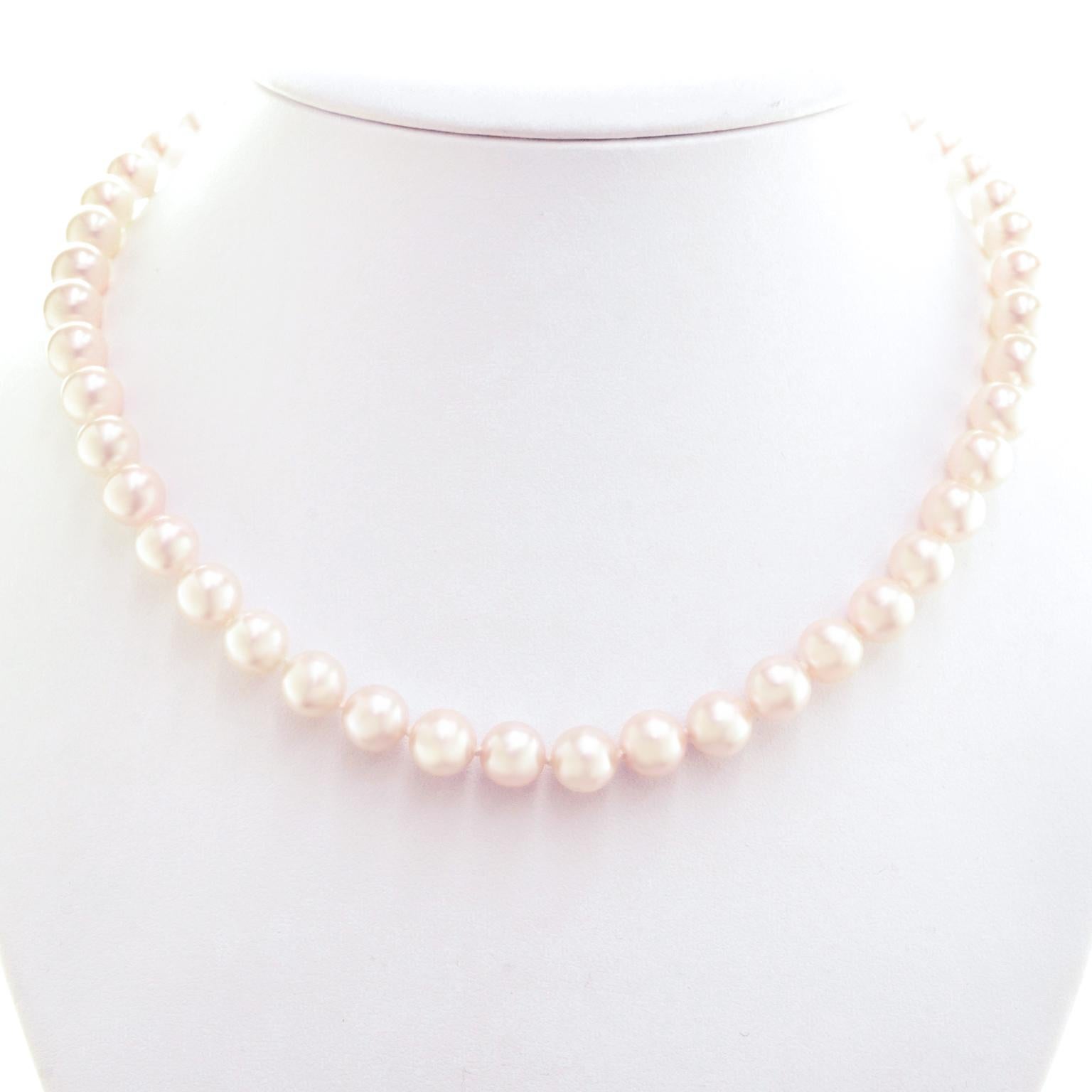 Strand of Superb Akoya Pearls 4