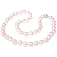 Strand of Superb Akoya Pearls