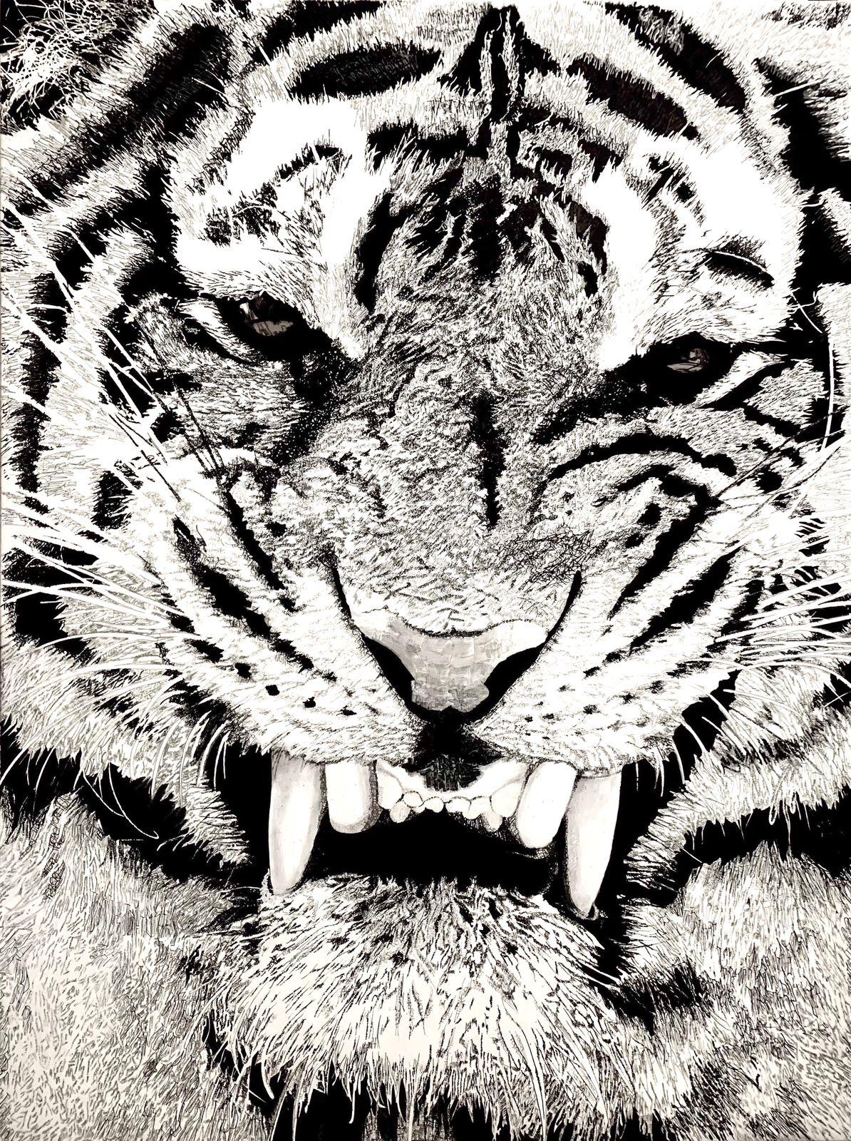Tiger, Tiger...