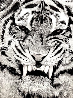 Tigre, Tigre, Tigre...