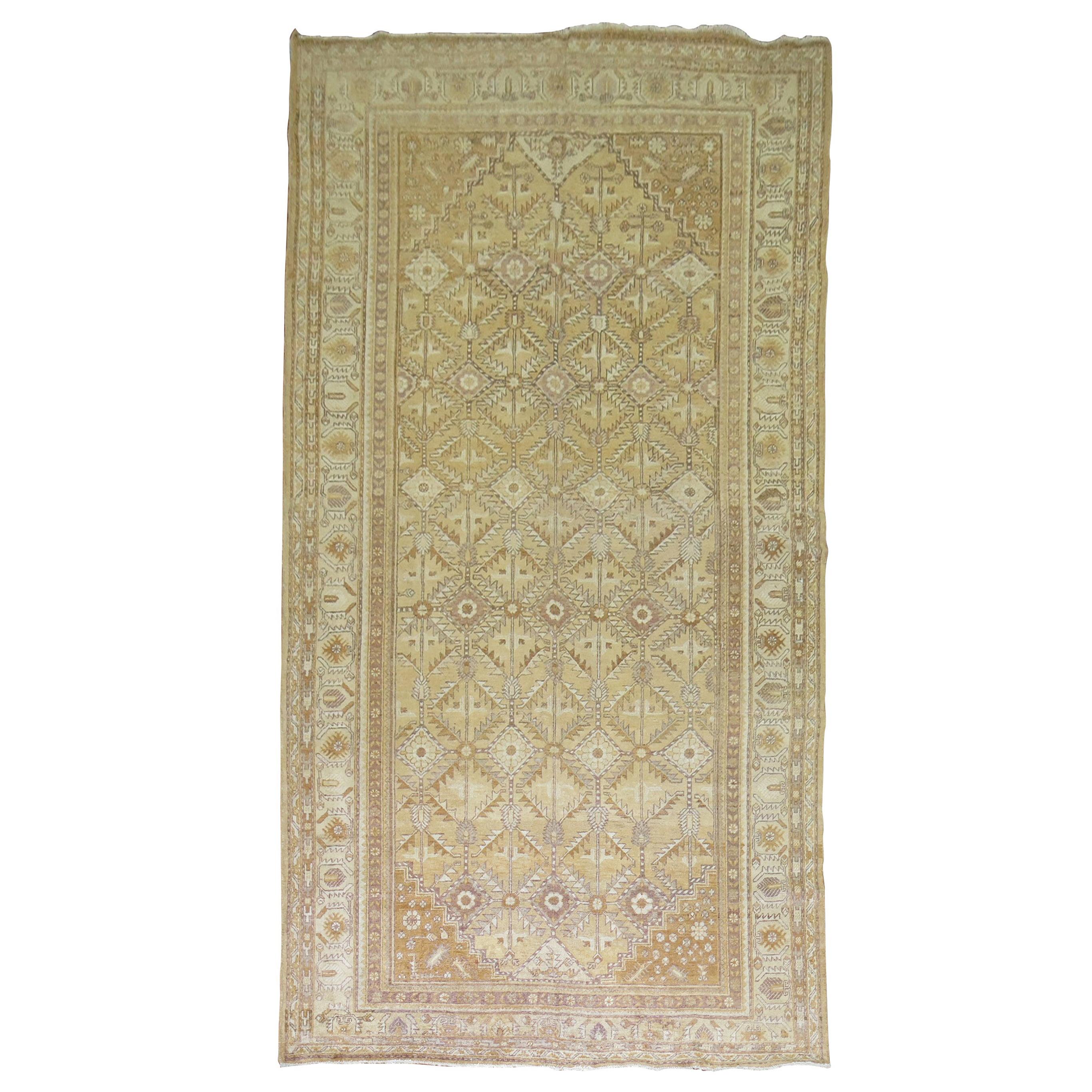 Alfombra antigua Khotan de paja, principios del siglo XX