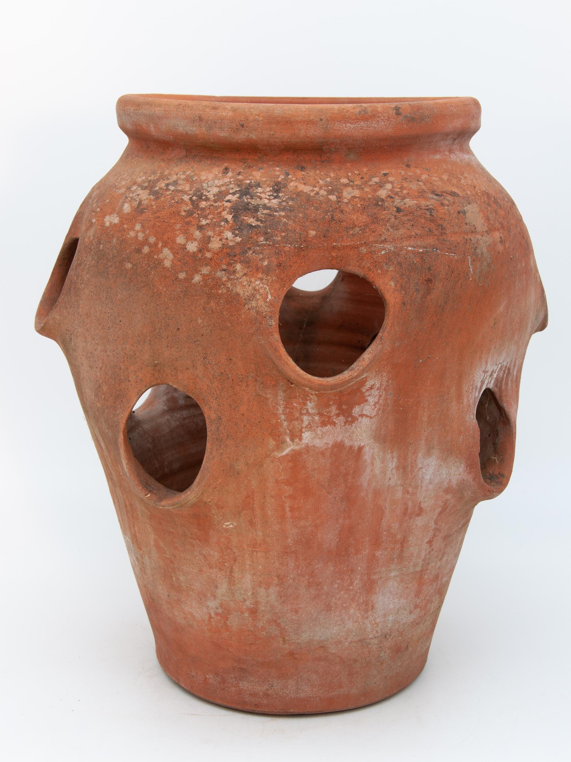 large terracotta strawberry pots for sale