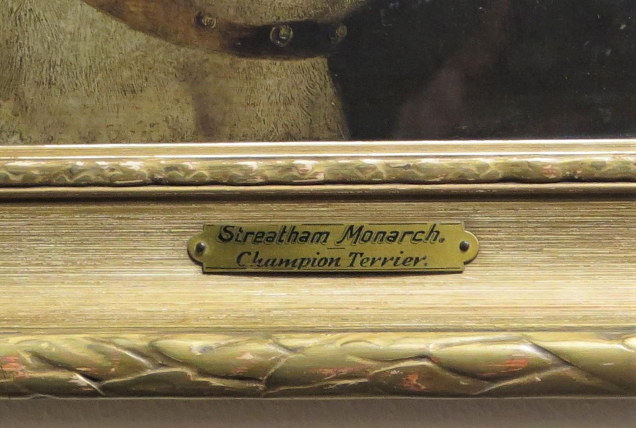 Nord-américain Terrier de champion « Streatham Monarch » d'Edward Aistrop (Angleterre, 1880-1920) en vente