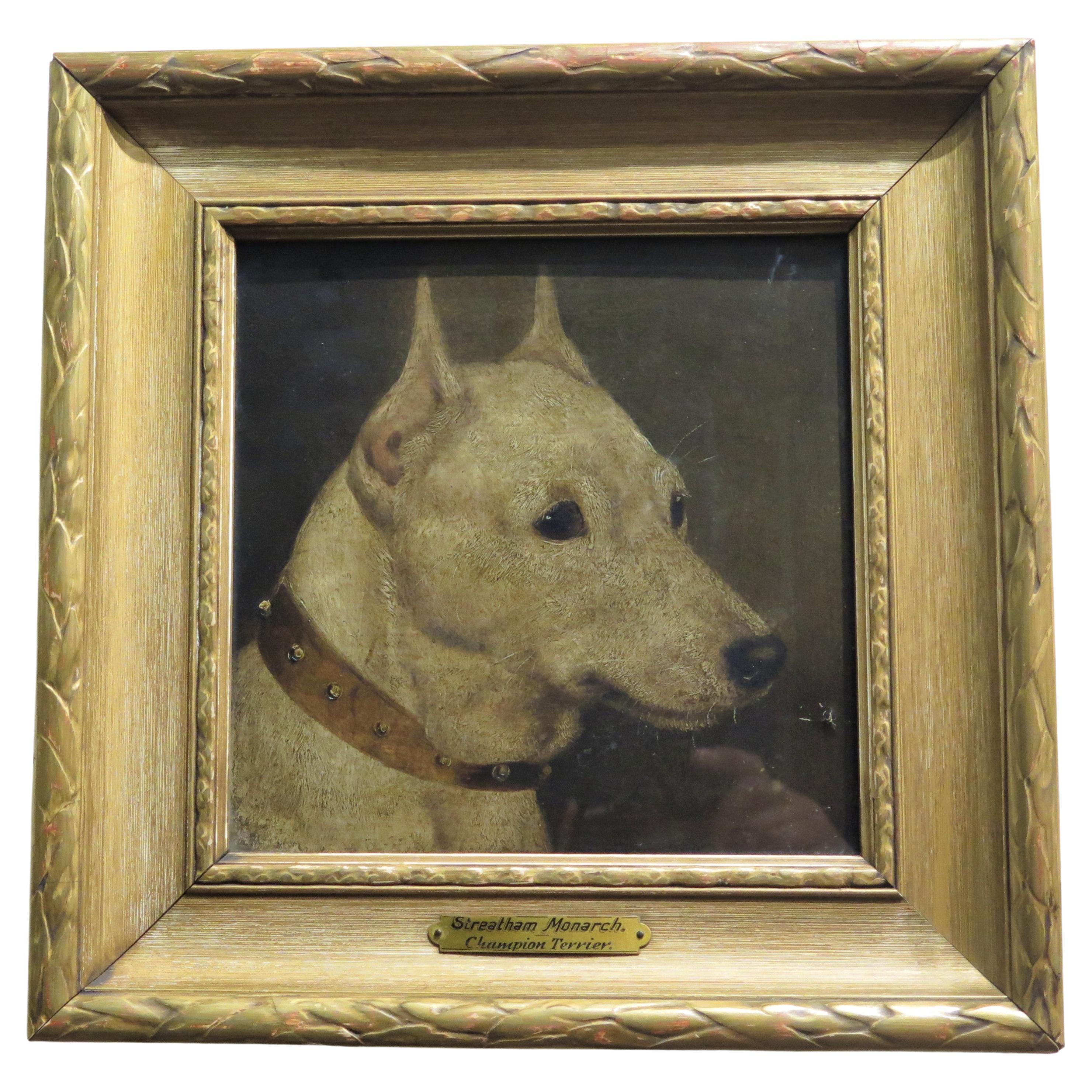Terrier de champion « Streatham Monarch » d'Edward Aistrop (Angleterre, 1880-1920)