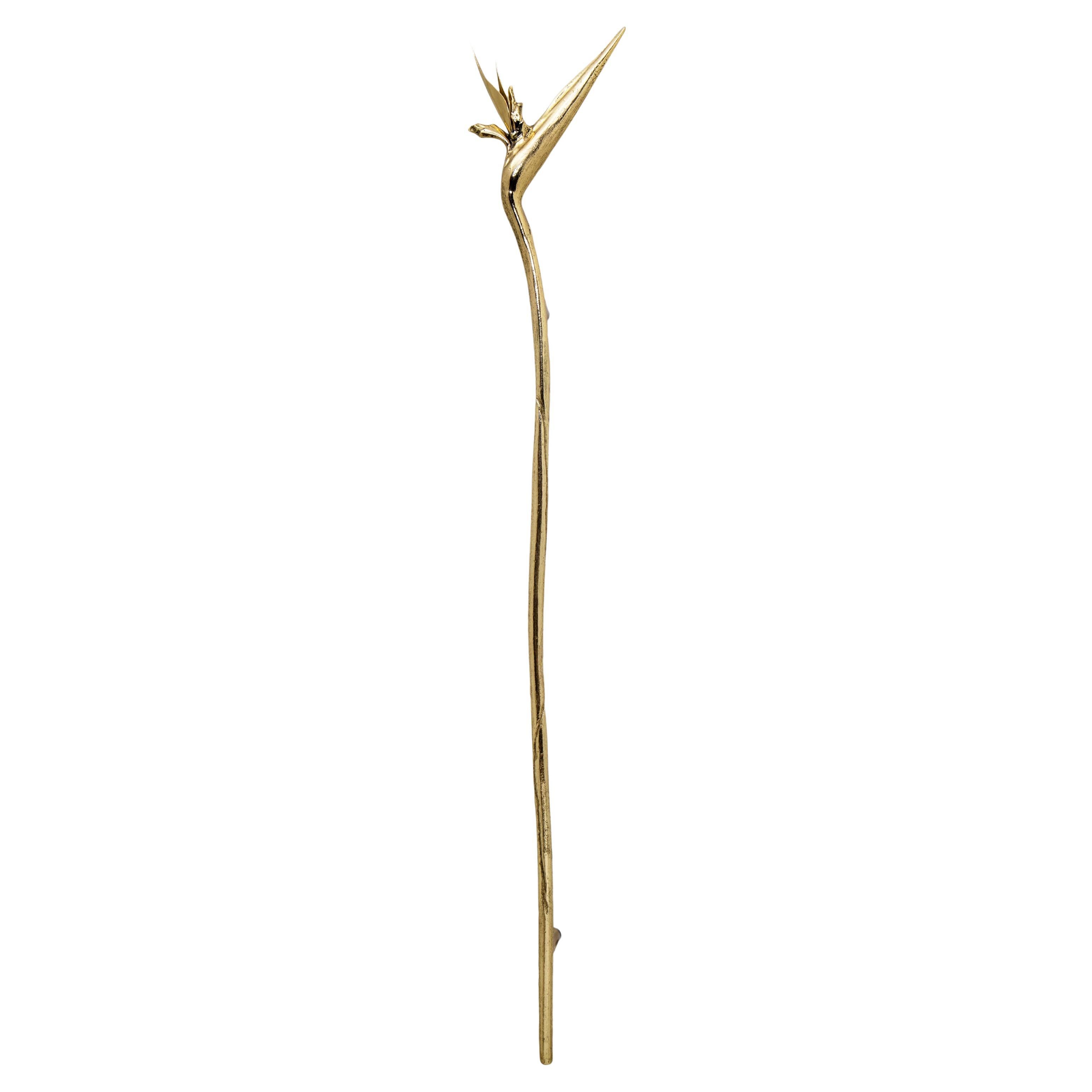 Estrattore Strelitzia a sinistra