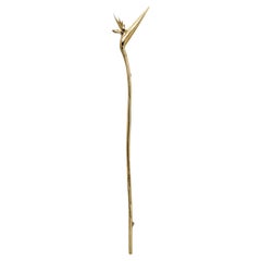 Strelitzia Door Pull Left