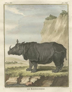 Striking Antique Rhinoceros Engraving, Buffon Hand-Coloured Print Amsterdam 1769