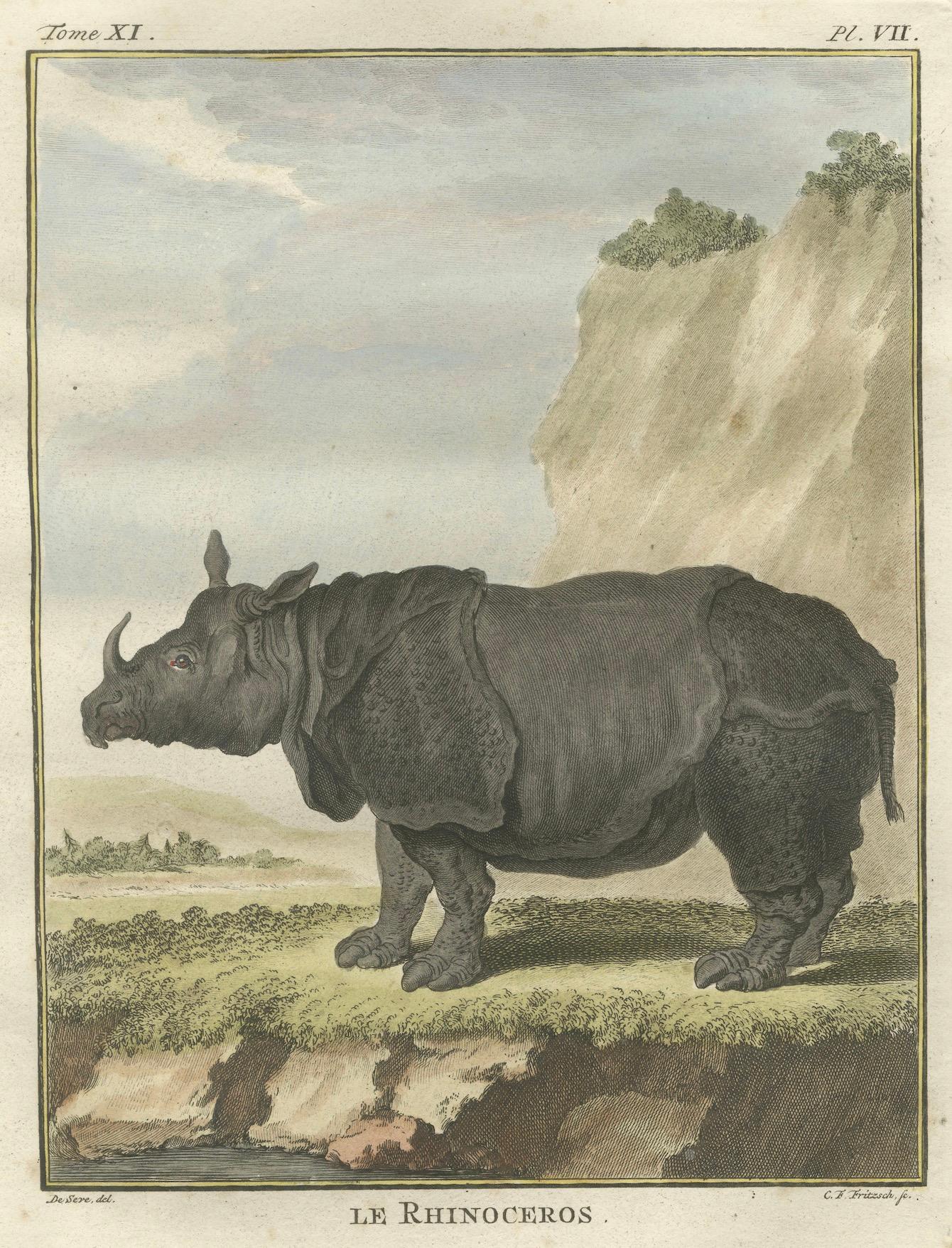 Striking Antique Rhinoceros Engraving, Buffon Hand-Coloured Print Amsterdam 1769