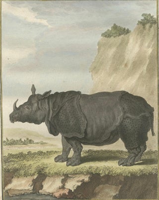 Striking Antique Rhinoceros Engraving, Buffon Hand-Coloured Print Amsterdam 1769, view 4