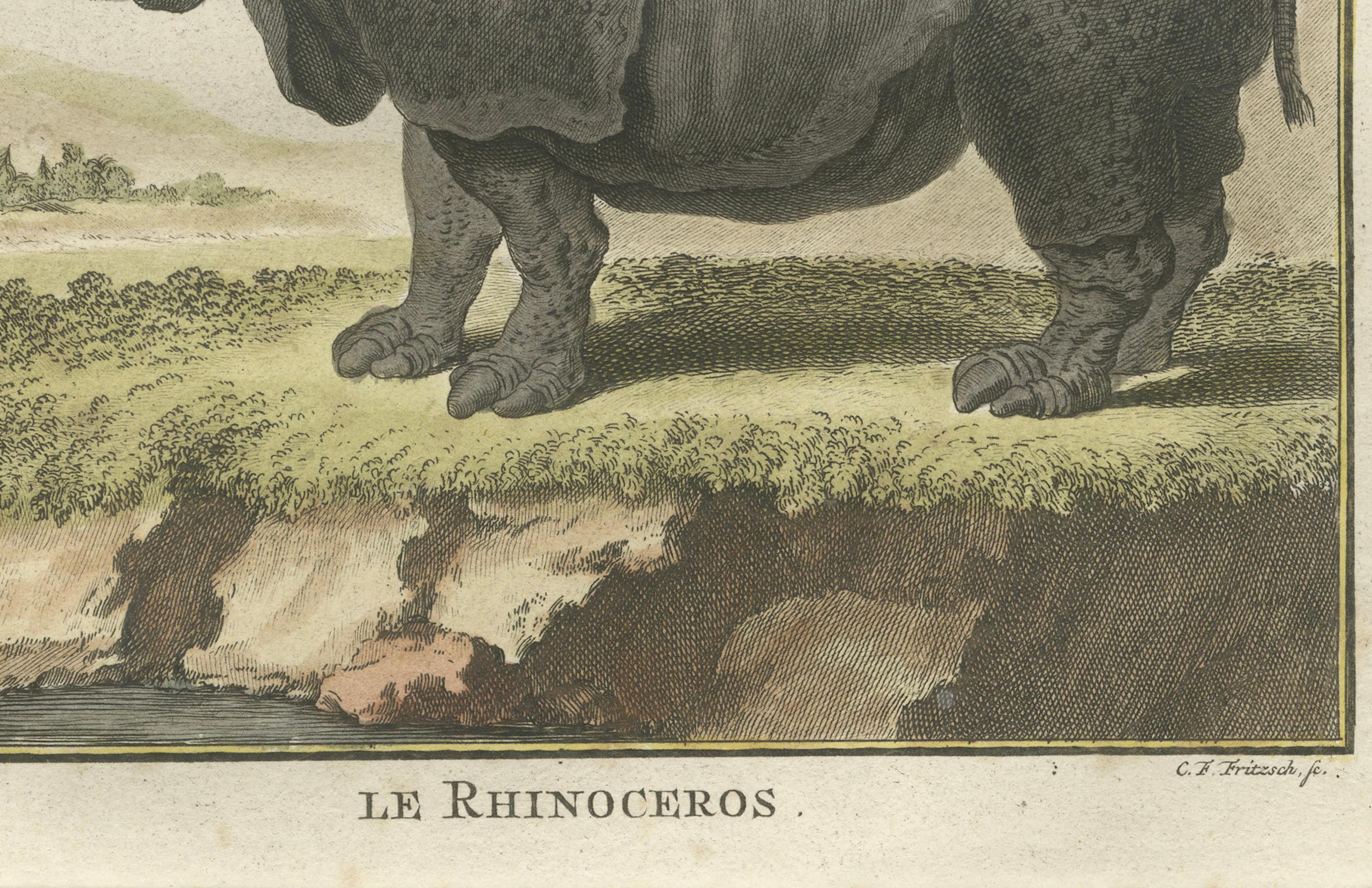 Striking Antique Rhinoceros Engraving, Buffon Hand-Coloured Print Amsterdam 1769