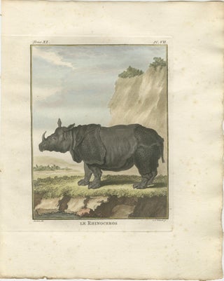 Striking Antique Rhinoceros Engraving, Buffon Hand-Coloured Print Amsterdam 1769, view 8