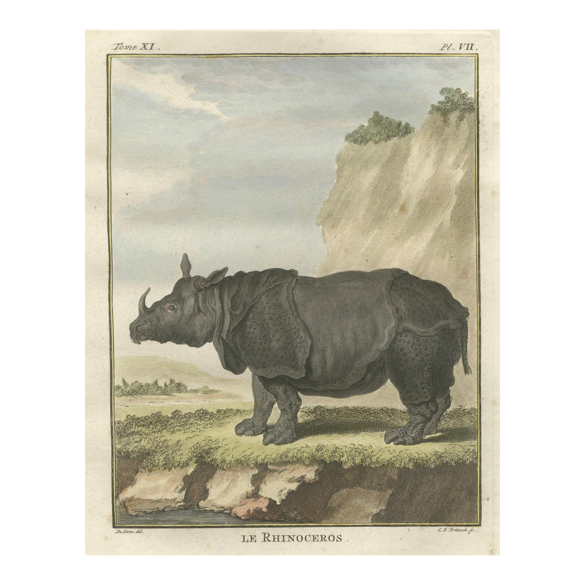 Striking Antique Rhinoceros Engraving, Buffon Hand-Coloured Print Amsterdam 1769