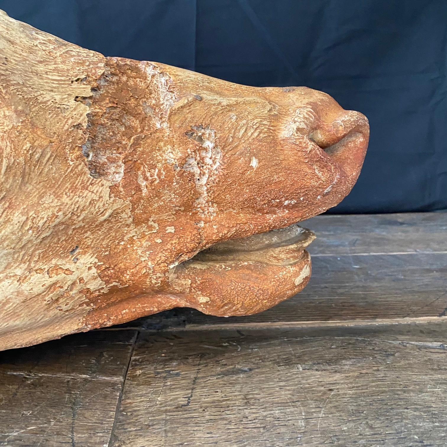 20ième siècle Sculpture de tête de vache ancienne en terre cuite provenant d'une boucherie française en vente
