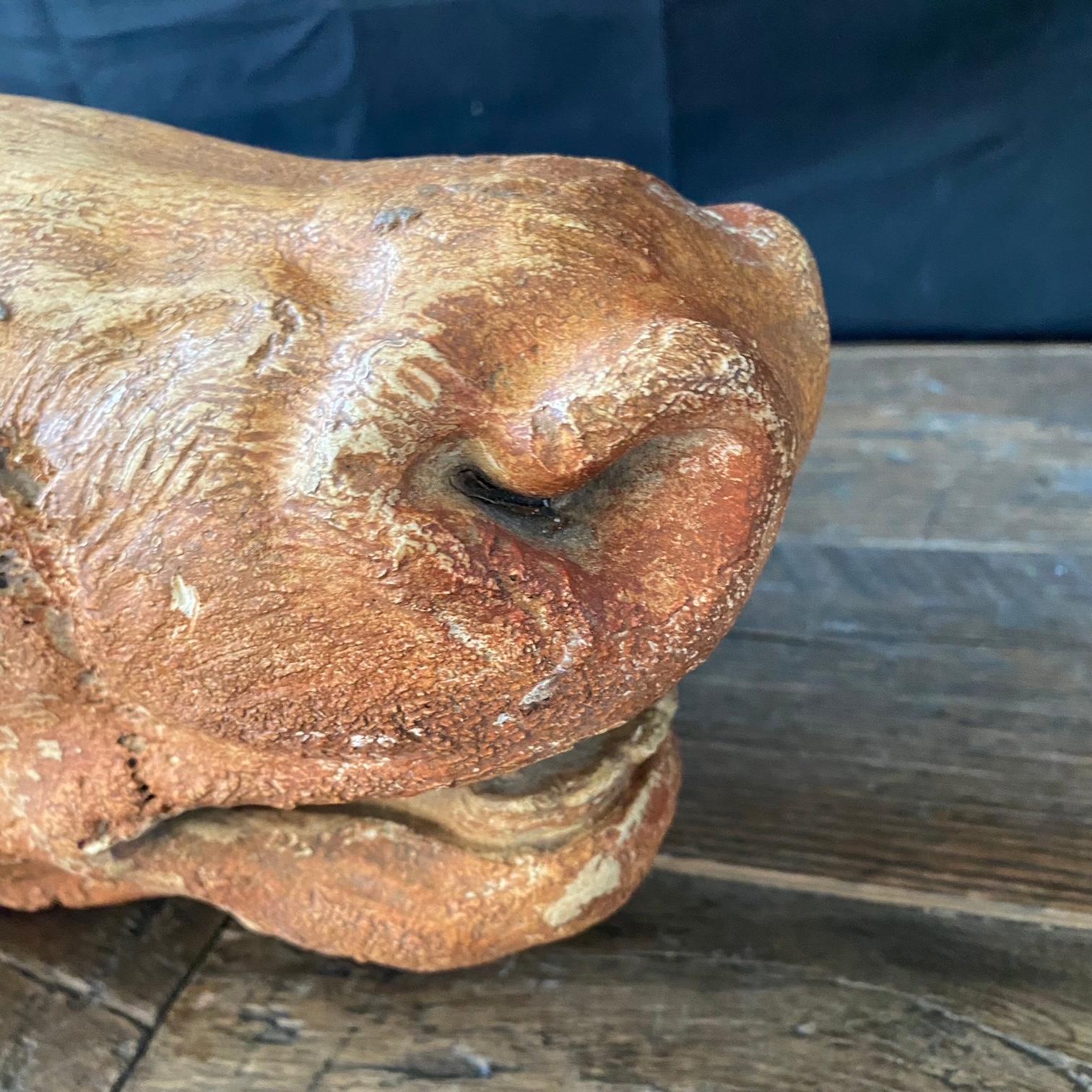 Terre cuite Sculpture de tête de vache ancienne en terre cuite provenant d'une boucherie française en vente