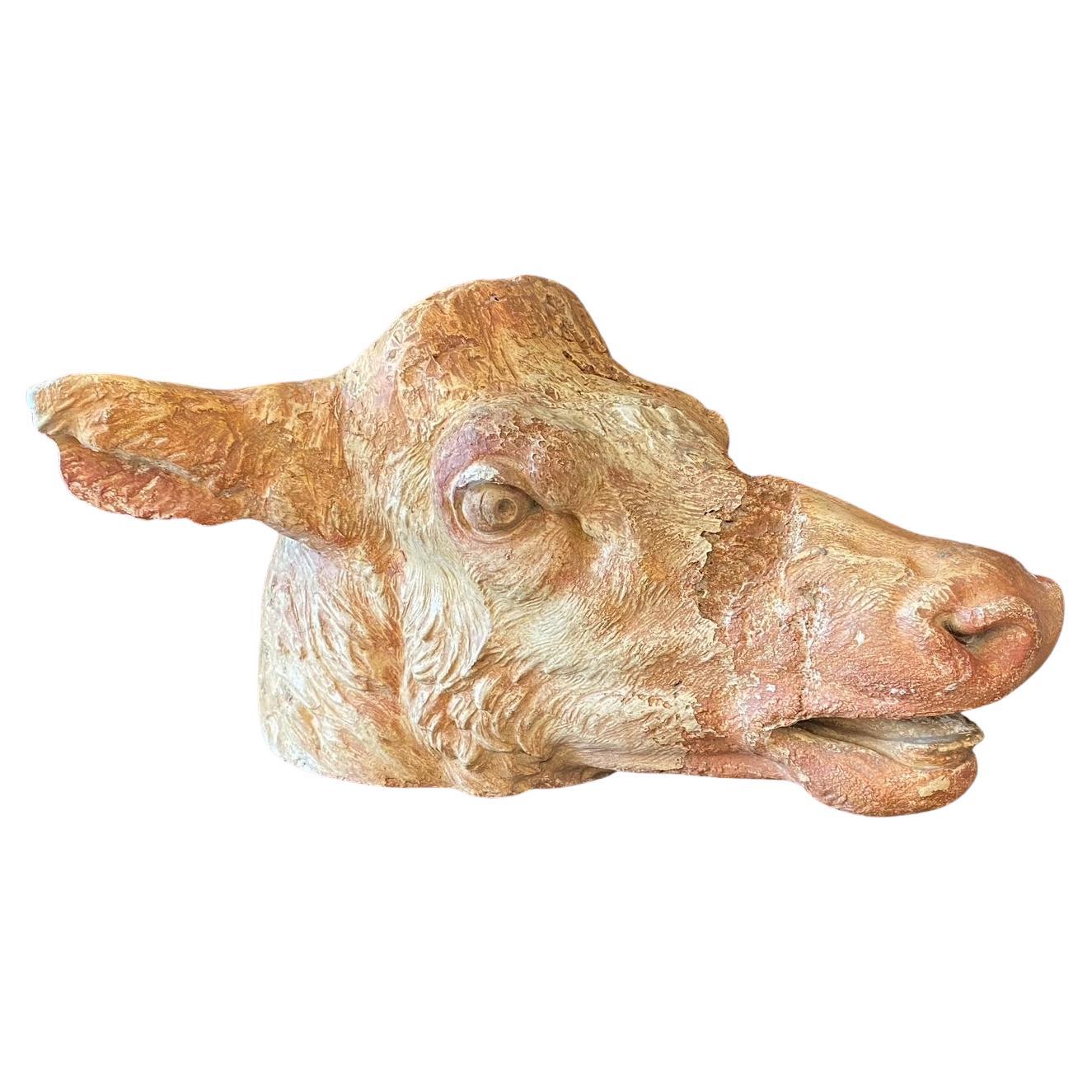 Scultura di testa di mucca francese in terracotta di grande effetto proveniente da una macelleria