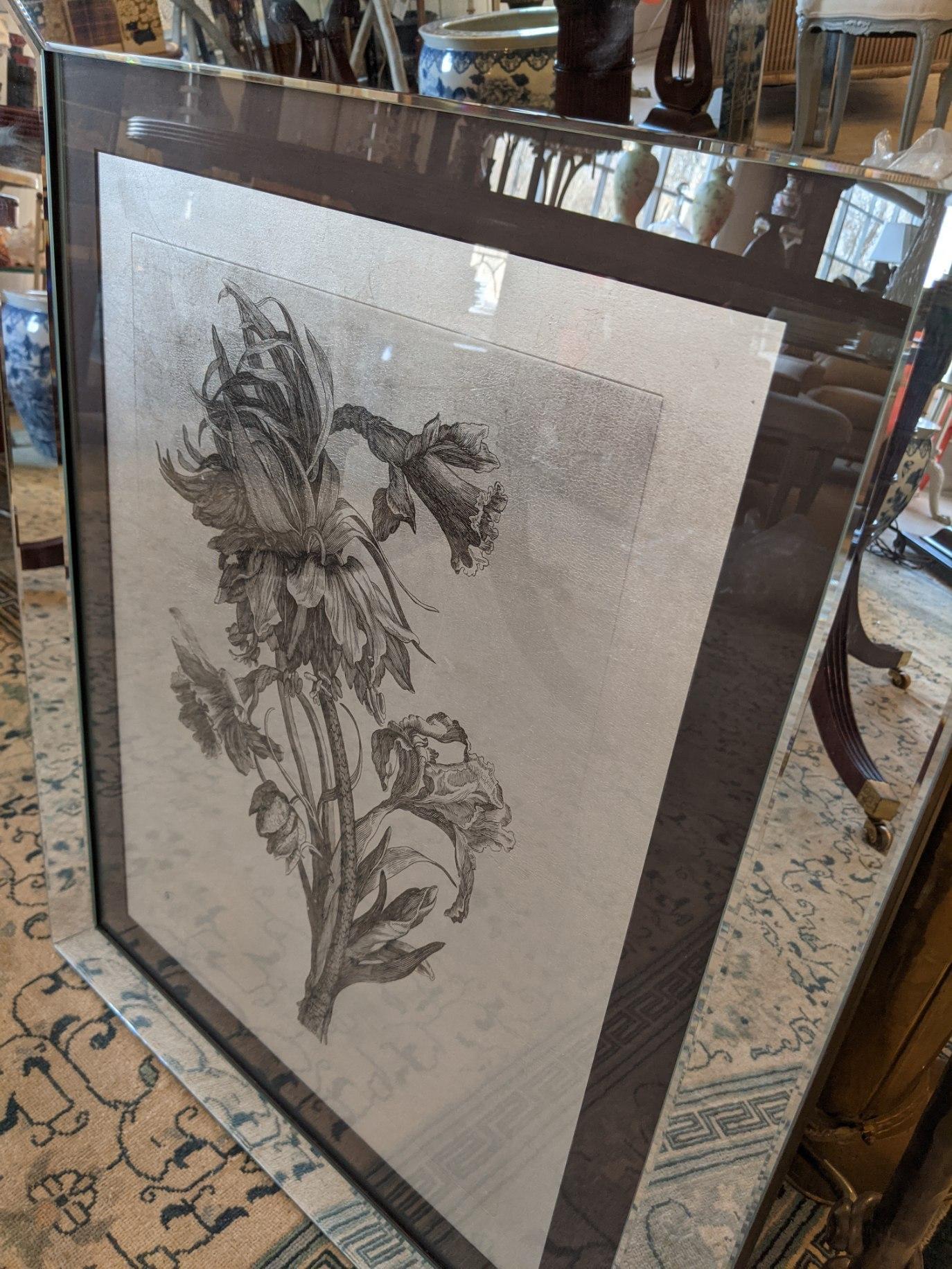 Striking Botanical Drawing Print in Flashy Mirrored Frame In Good Condition For Sale In Hopewell, NJ