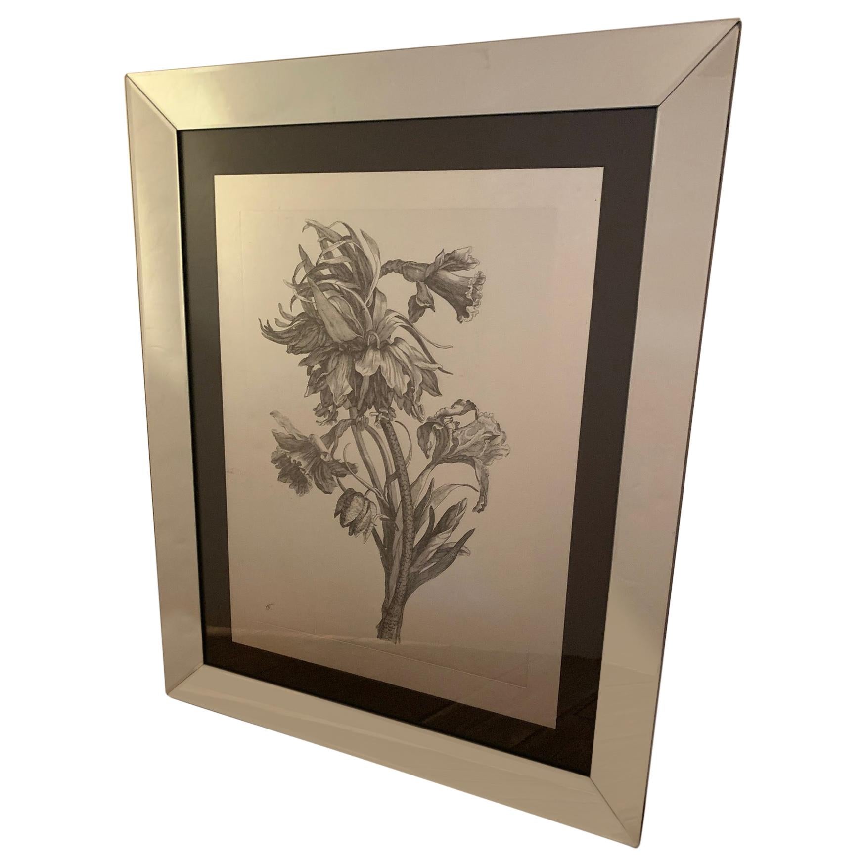 Striking Botanical Drawing Print in Flashy Mirrored Frame For Sale