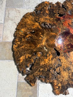 Striking Buckeye Burl Turned Wood Wall Sculpture