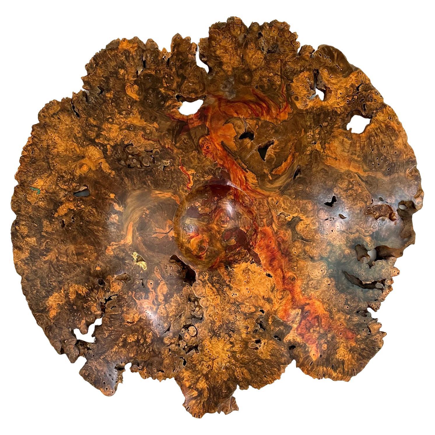 Striking Buckeye Burl Turned Wood Wall Sculpture For Sale