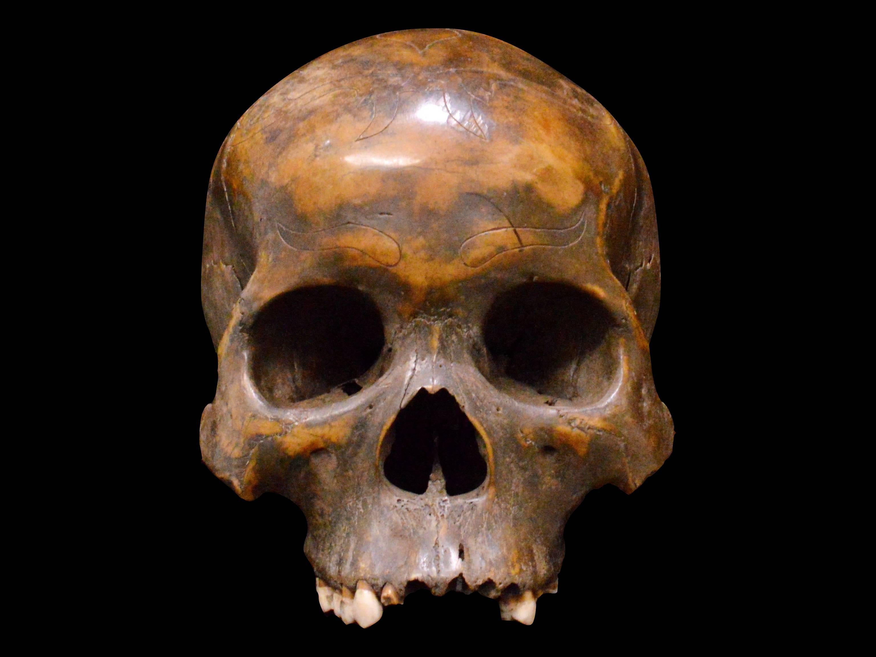 An impressive human skull without lower jaw, polished, with incised ornamental and floral decorations, minor damages and missing parts (teeth). In former times the Dayak people of Borneo, Indonesia were dreaded headhunters. In order to transition