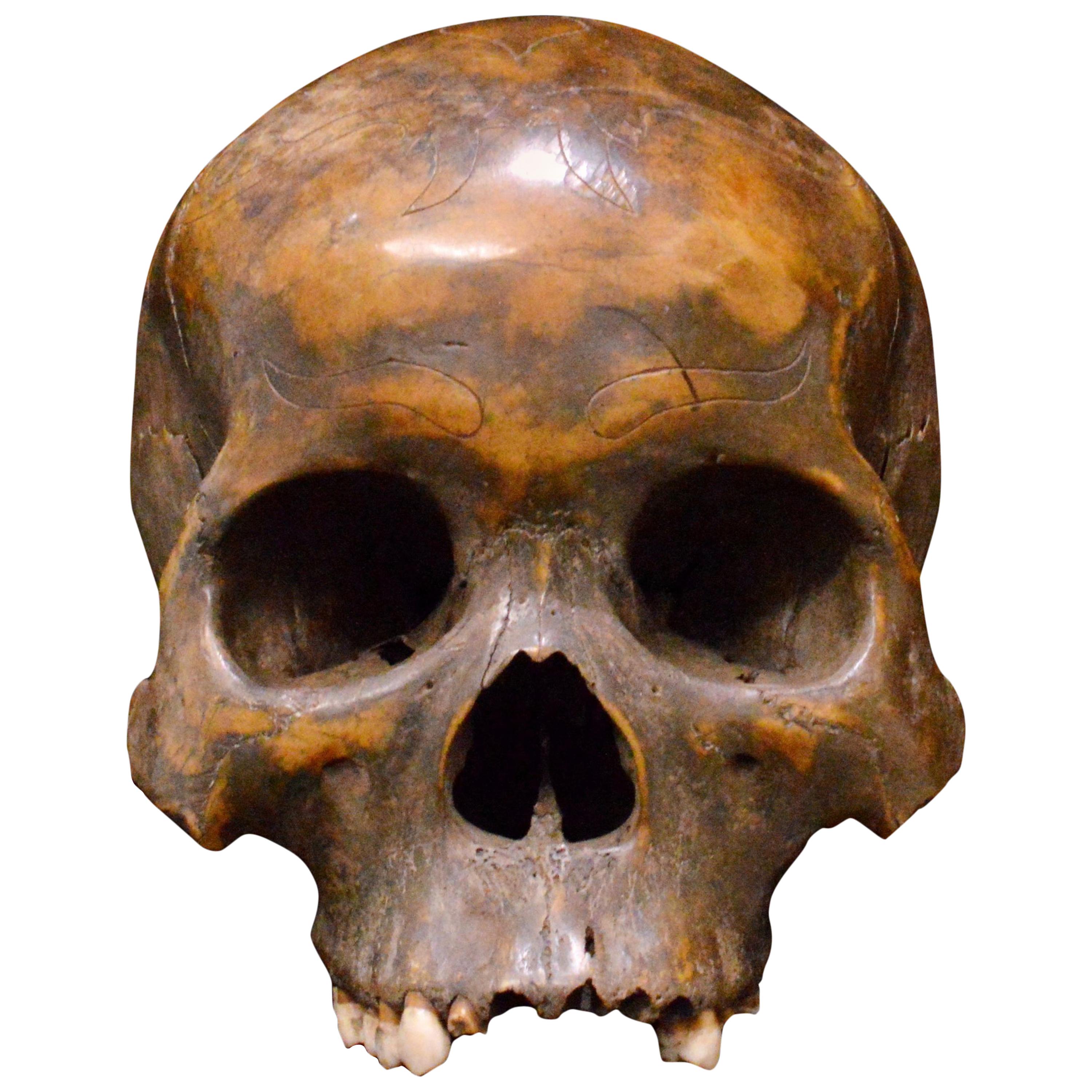 Striking Dayak Human Trophee Skull ‘Ndaokus’ from Borneo Indonesia