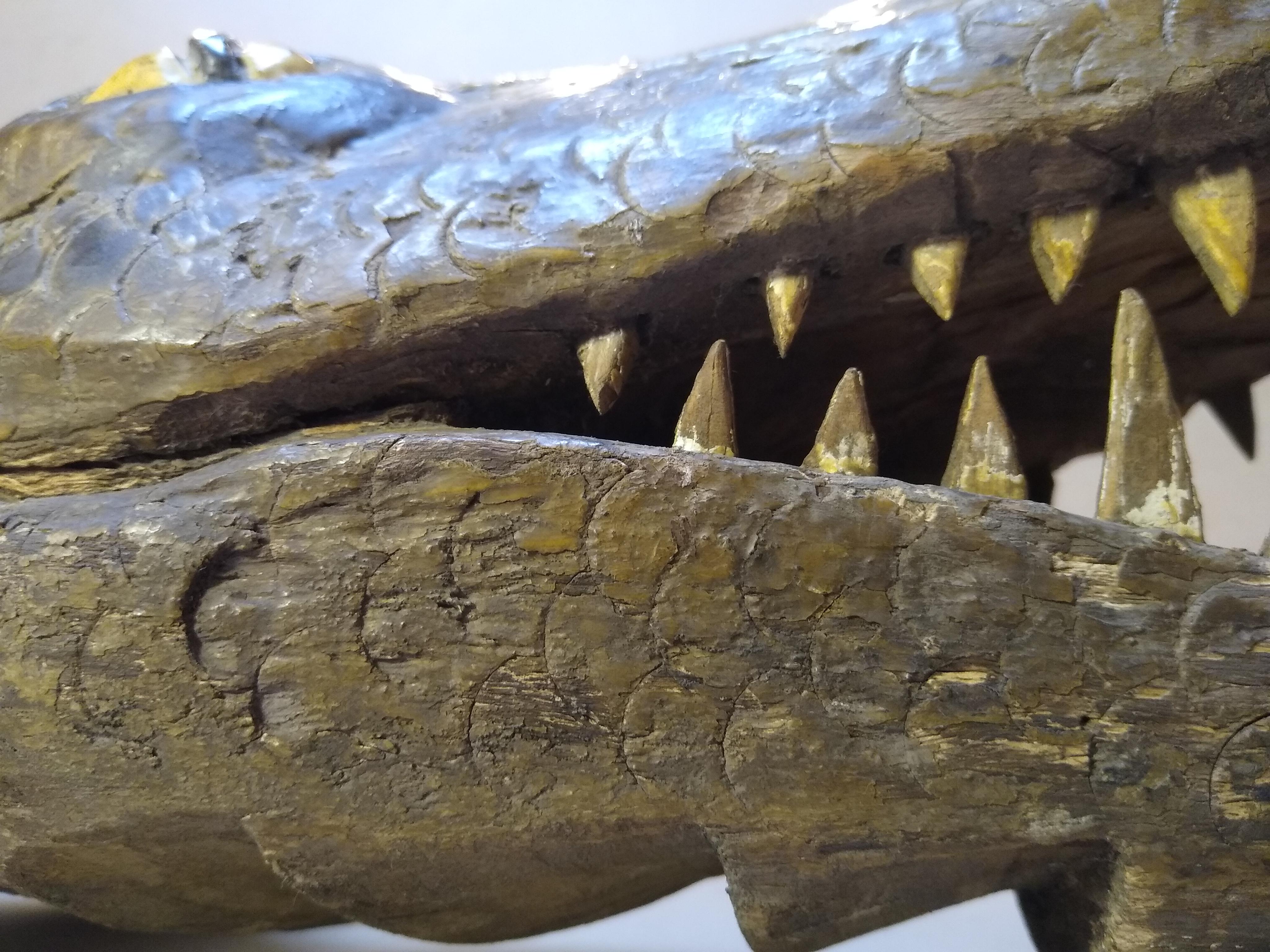 Striking Hand carved large wood Sculpture of Crocodile from Mexico For Sale 1