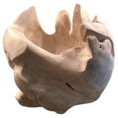 Striking Large Organic Modern Amoeba Shaped Carved Wood Vessel
