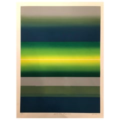 Litho saisissant signé:: numéroté et daté "Splits And Stripes":: 1979