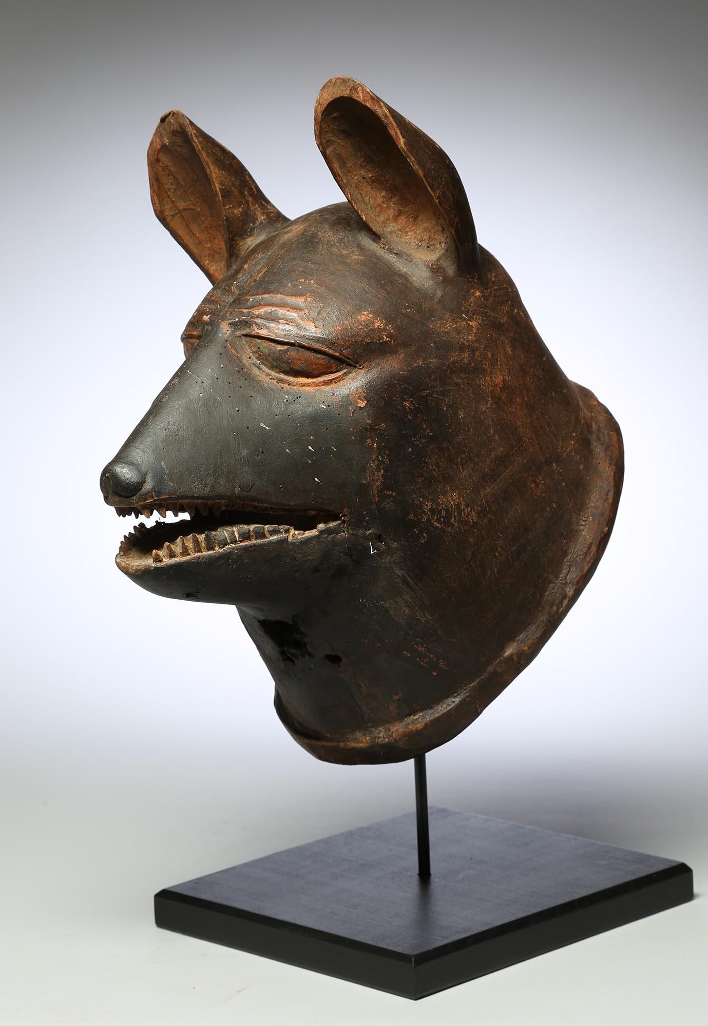 20th Century Striking Makonde Animal Helmet Mask, Dog or Hyena, Tanzania, Early 20th C. For Sale