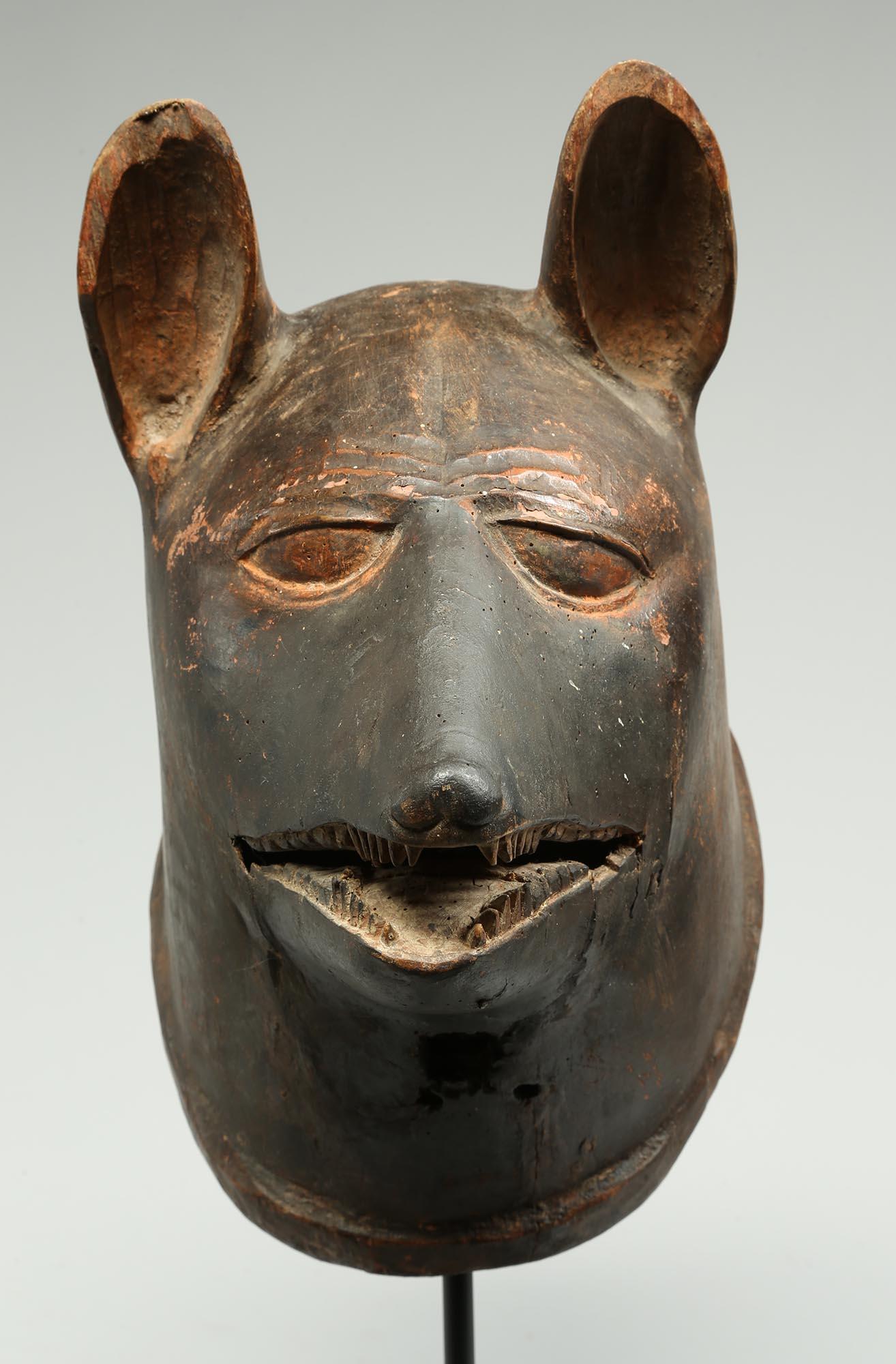 Striking Makonde animal helmet mask, dog or hyena, Tanzania. Early 20th century with dark patina from traditional tribal use, wear inside from being used. Finely carved features, with perky ears, open eyes and long pointed mouth with lots of teeth.