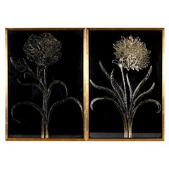 Vintage Striking Pair Of Gold Leaf Botanical Floral Framed Art