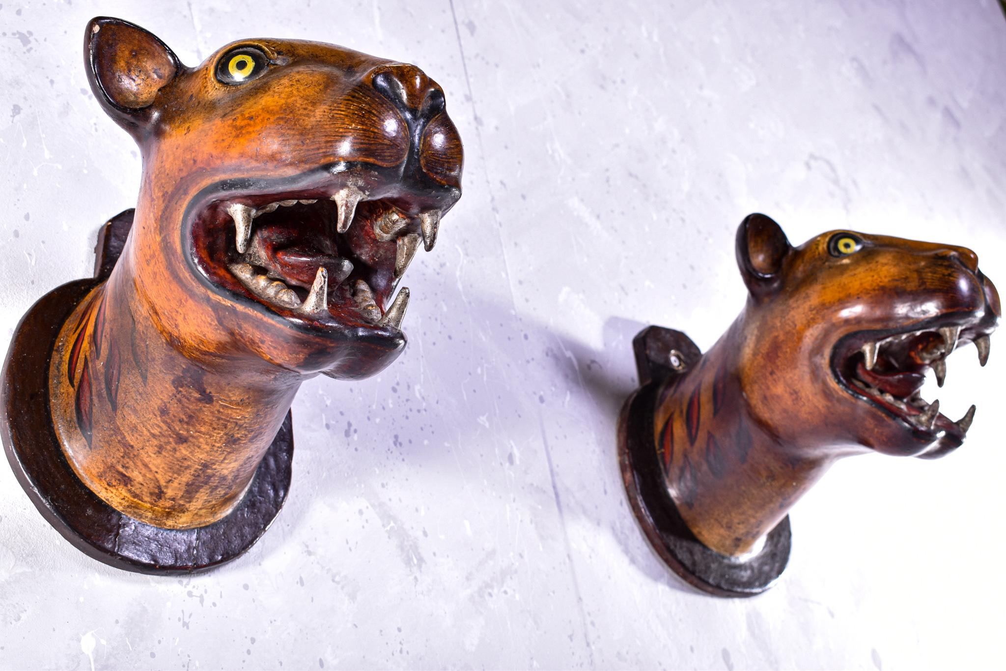 A rare and roaring pair of carved, moulded and hand painted leopard heads. Highly decorative and stunning in design and finish, on hardwood mounts.

This pair, full of character, were often designed as an imitation to the traditional head mount of