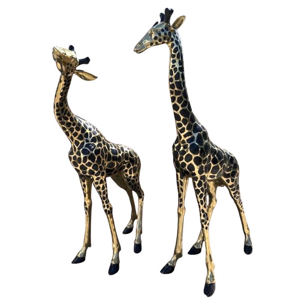 Striking Pair of Large Brass Sculptures of Giraffes  For Sale