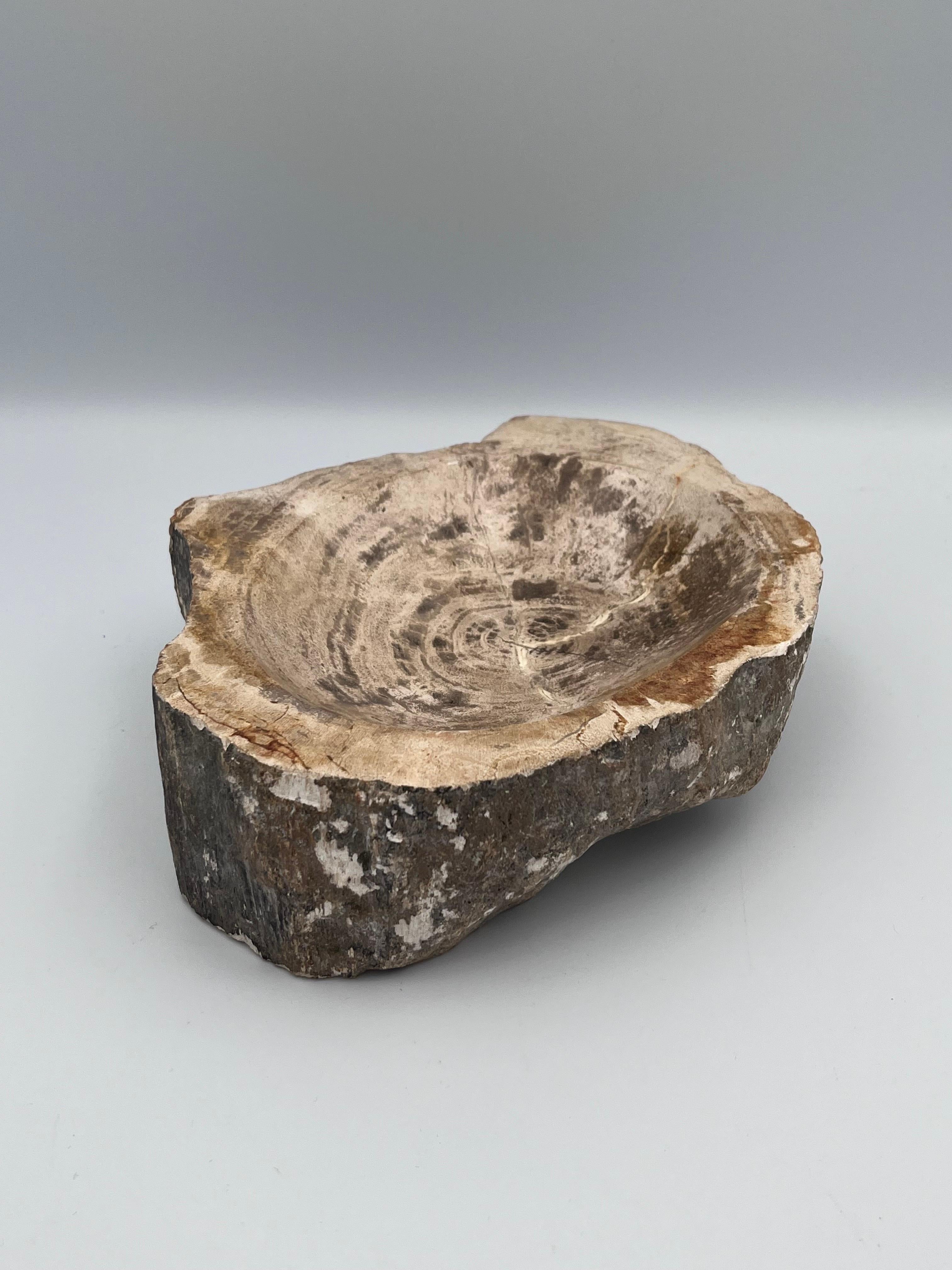 Striking Prehistoric Polished Petrified Wood Vide Poche / Ashtray
Bring the natural history of the earth into your home with this extraordinary polished petrified wood vide poche, a sculptural catchall or ashtray carved from authentic fossilized