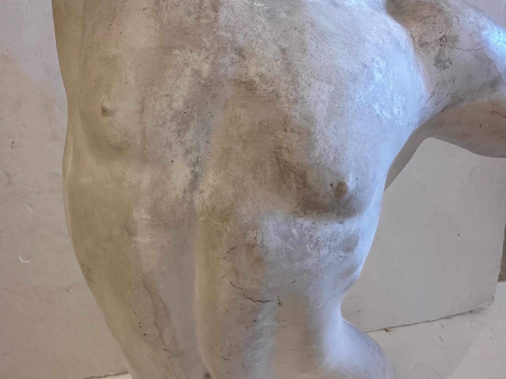 Sehr große, auffällige Skulptur eines nackten männlichen Torso im Angebot 1