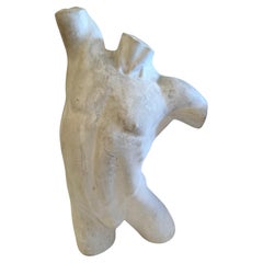 Sculpture saisissante du torse masculin nu