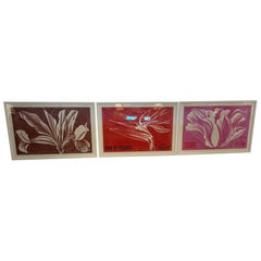 Striking Set of 3 Lowell Nesbitt Flower Lithographs Newly Framed