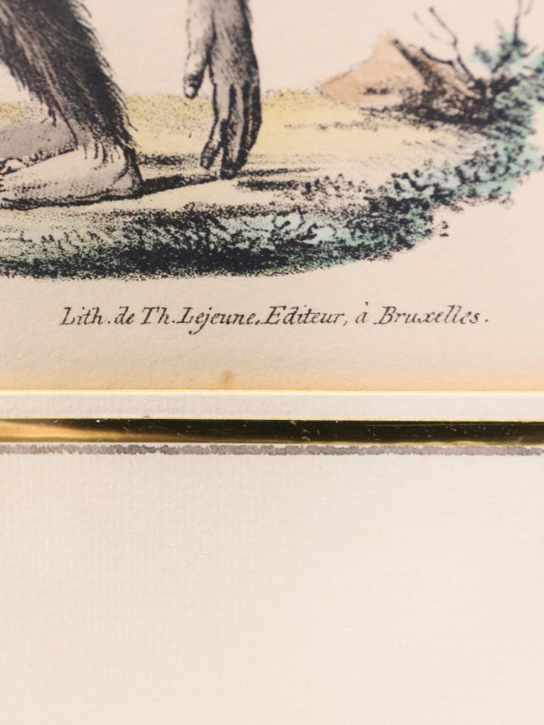 Striking Triptych of 19th-Century Hand-Coloured Zoological Lithographs For Sale 8