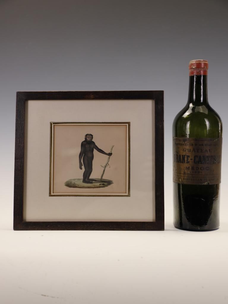 Striking Triptych of 19th-Century Hand-Coloured Zoological Lithographs For Sale 14