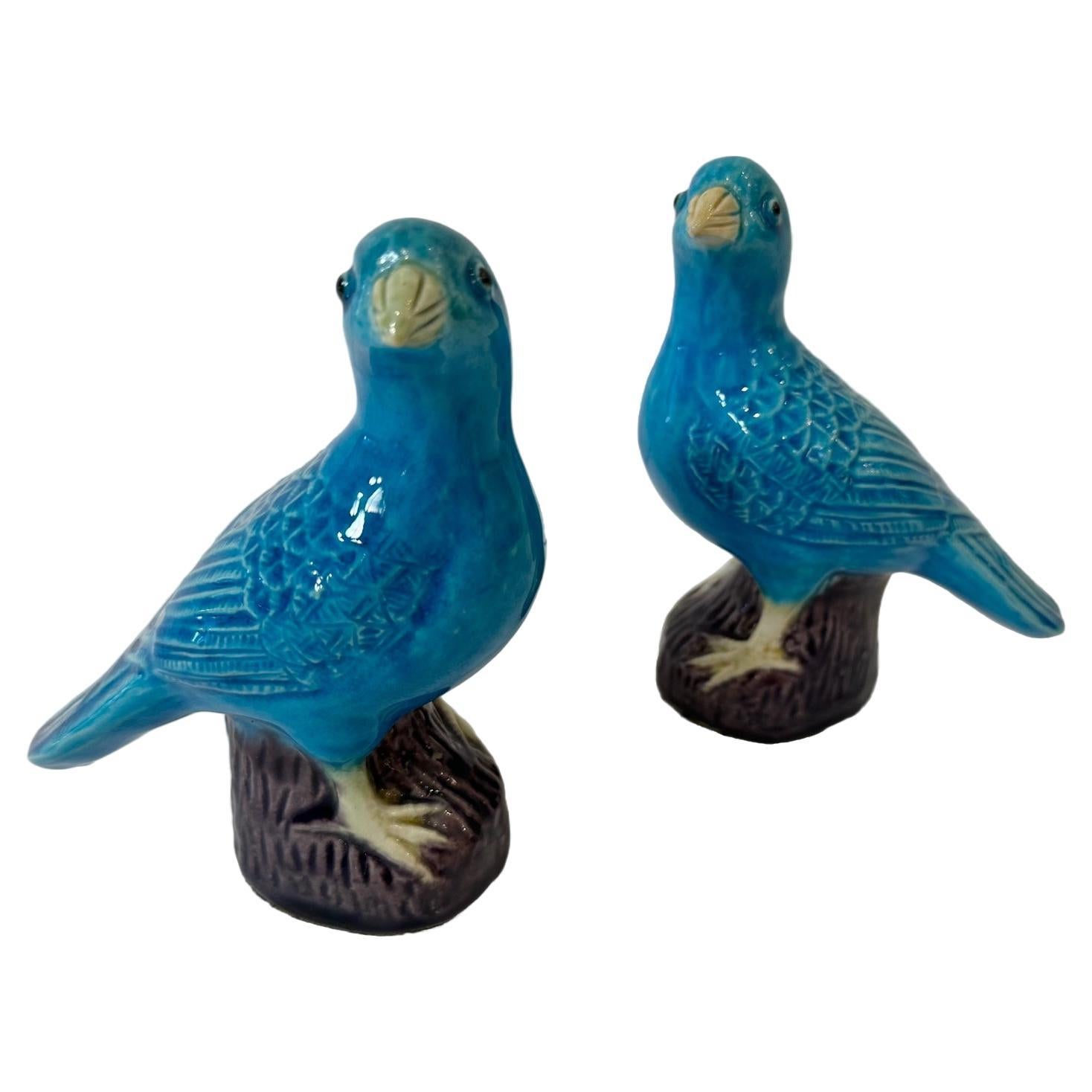 Striking Turquoise Pair of Chinese Porcelain Bluebirds For Sale