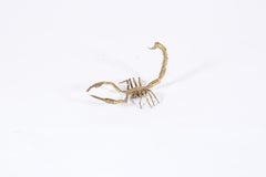 Striking Vintage Italian Scorpion Sculpture By P Mas Rossi