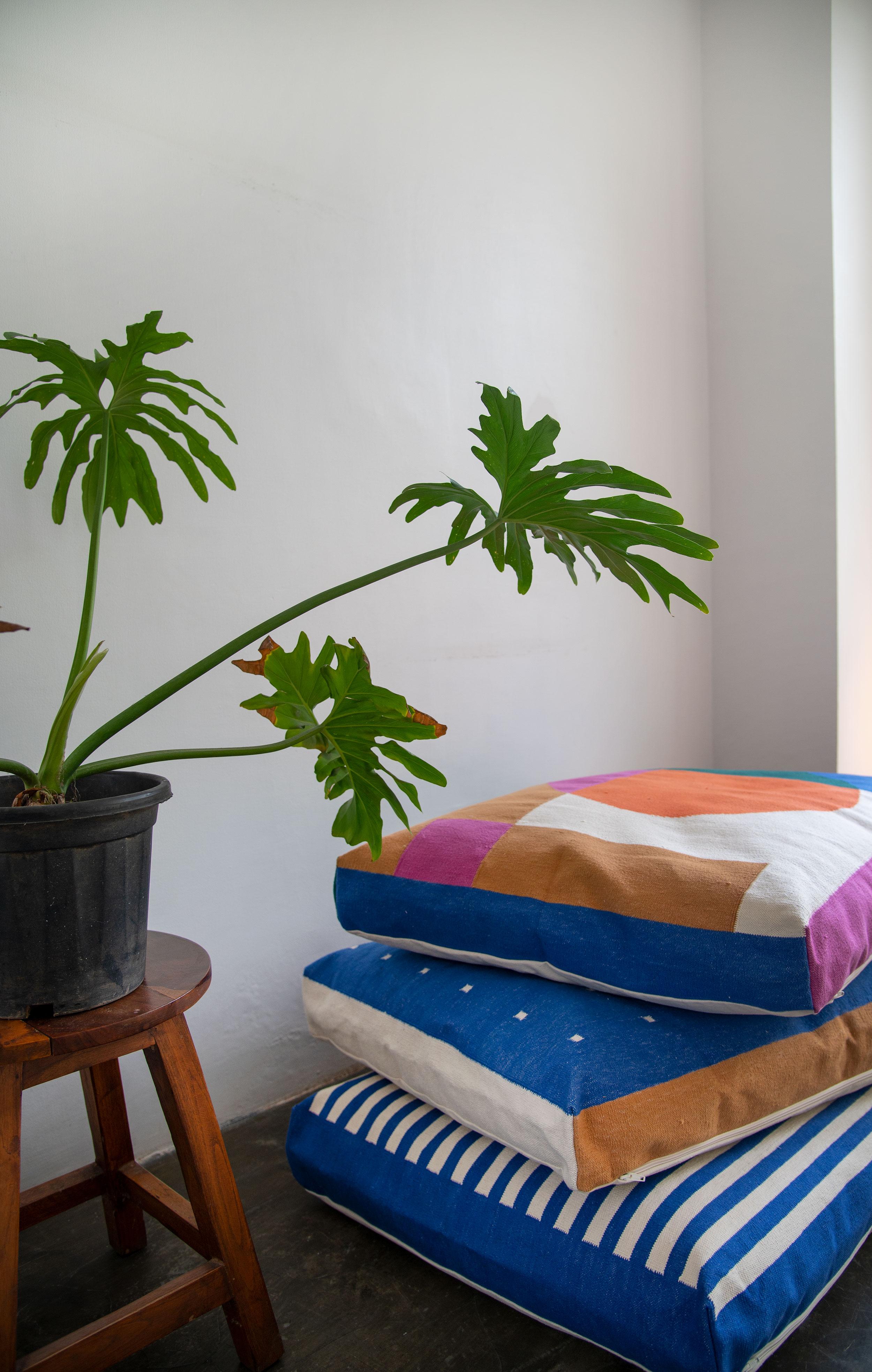 striped dog beds