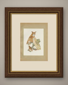 Striped Owl, Barn Owl and Pygmy Owl, Brazilian Bird Print, Descourtilz, 1944