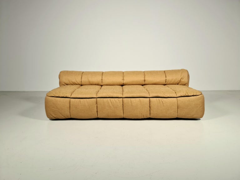 Mid-Century Modern Strips Sofa Bed by Cini Boeri for Arflex, 1970s For Sale
