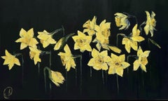 Daffodils