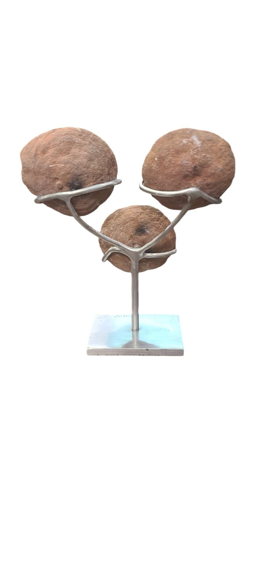 This natural red sculpture called stromatolite, is at least 300 millions years old. These fossils are unique in their kind. The laminar structures are made by the biochemical activity of cyanobacteria (bacterias living from photosynthesis).
It is