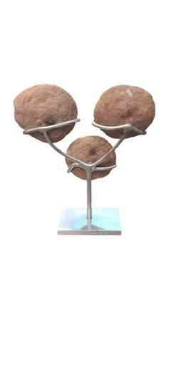 Natural sculpture, Pseudostromatolite. "Red desert Gogotte", Morocco