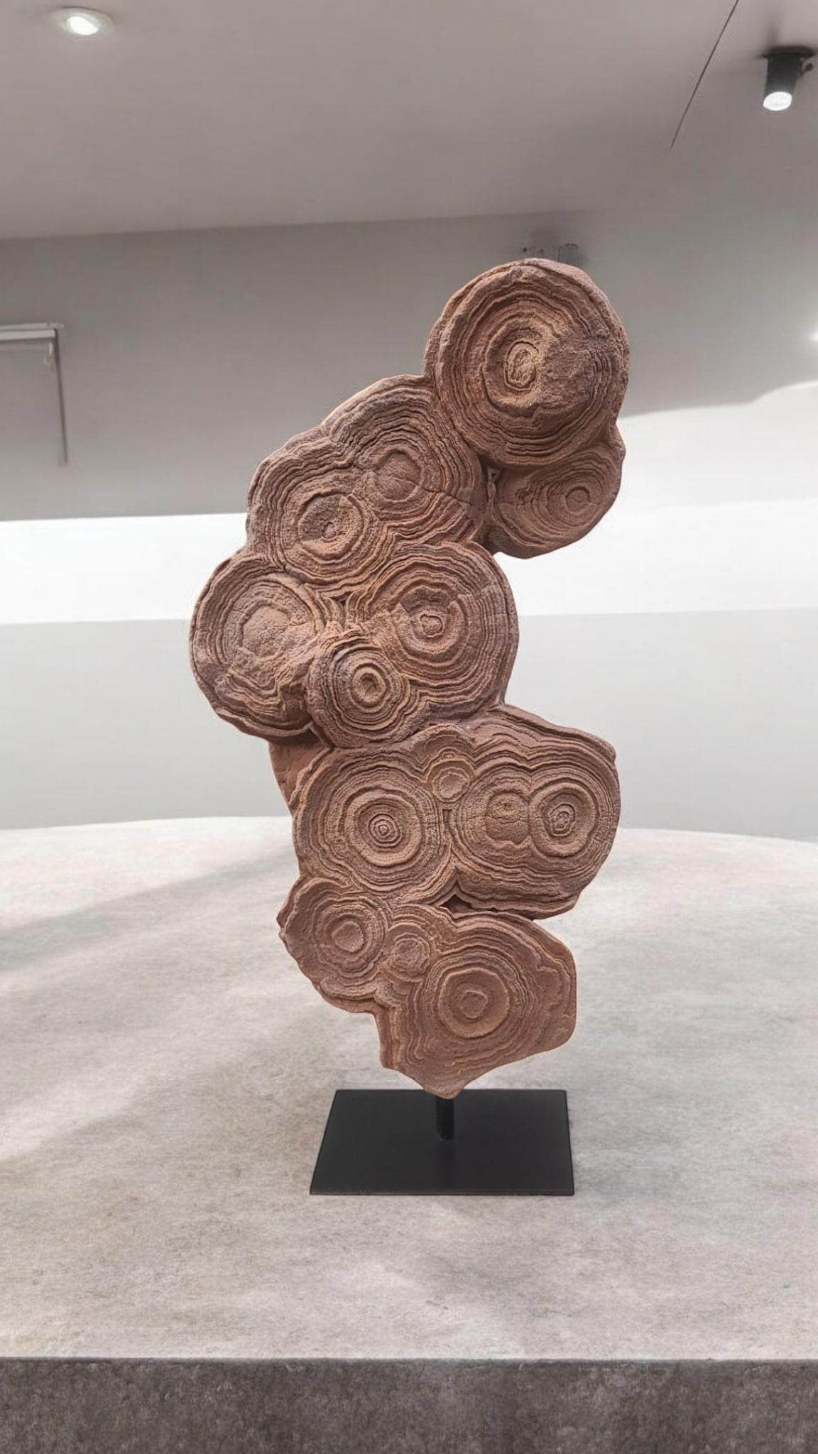 This natural red sculpture called stromatolite, is at least 300 millions years old. These fossils are unique in their kind. The laminar structures are made by the biochemical activity of cyanobacteria (bacterias living from photosynthesis).
It is